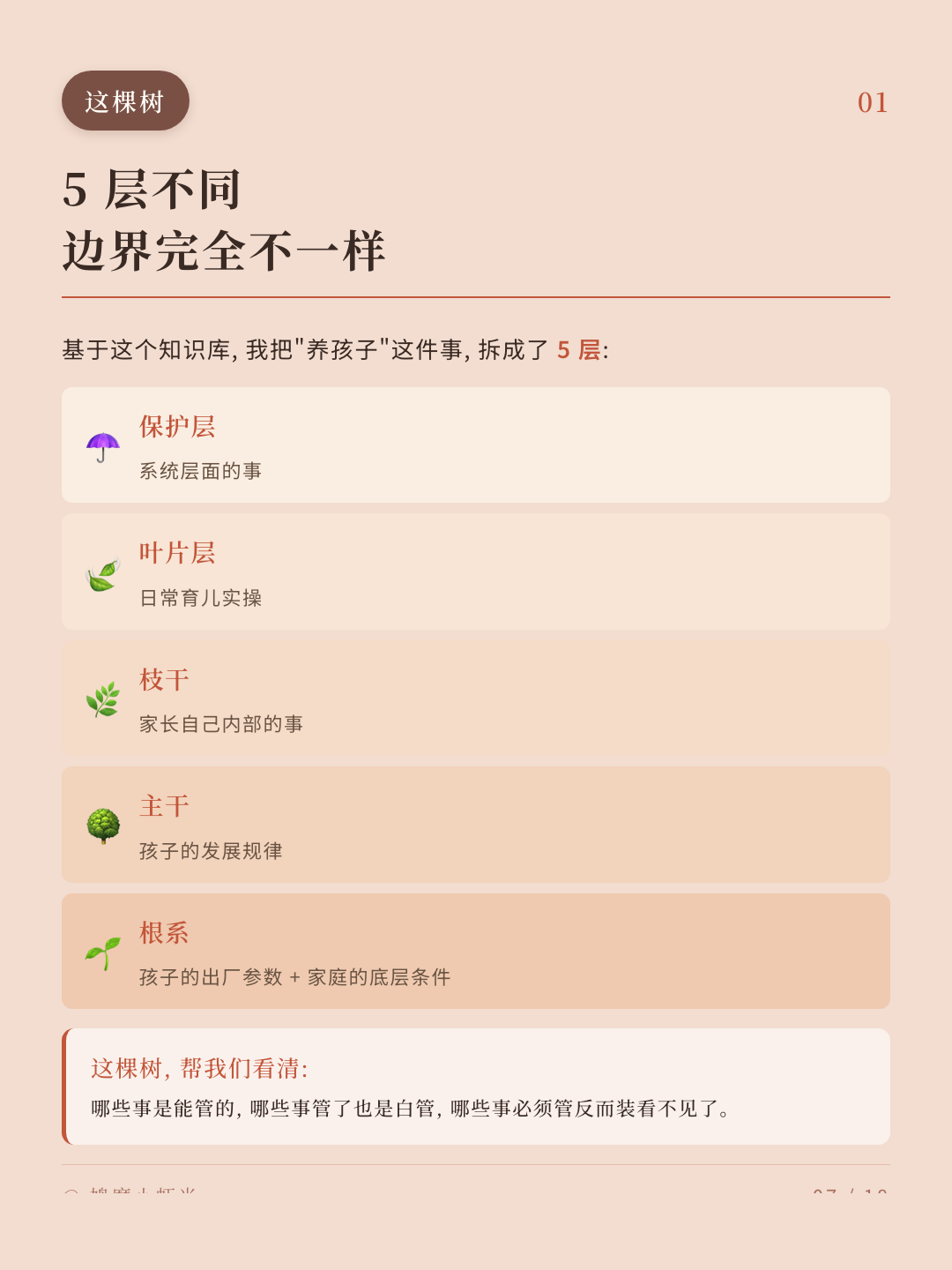 这棵树长什么样