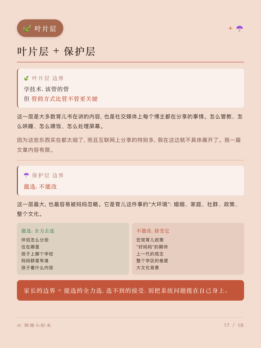 叶片与保护层